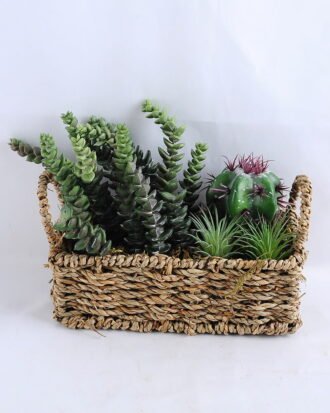Artificial succulent 22*12*17CM Succulent in basket GS-30319001+P