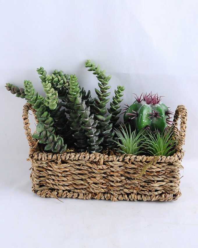 Artificial succulent 22*12*17CM Succulent in basket GS-30319001+P