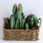 Artificial succulent 20*9*20CM Succulent in basket GS-30319002+P