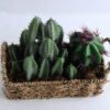 Artificial succulent 20*9*20CM Succulent in basket GS-30319002+P
