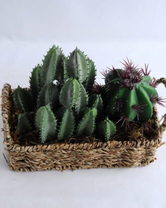 Artificial succulent 20*9*20CM Succulent in basket GS-30319002+P Succulent YeahFlower is one of Chinese leading OEM manufacturers and exporters , supplying the silk flowers, wholesale artificial trees Artificial succulent 20*9*20CM Succulent in basket GS-30319002+P