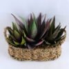 Artificial succulent 21*16*18CM Succulent in basket GS-30319003+P