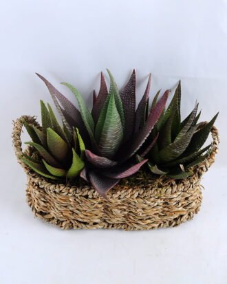 Artificial succulent 21*16*18CM Succulent in basket GS-30319003+P