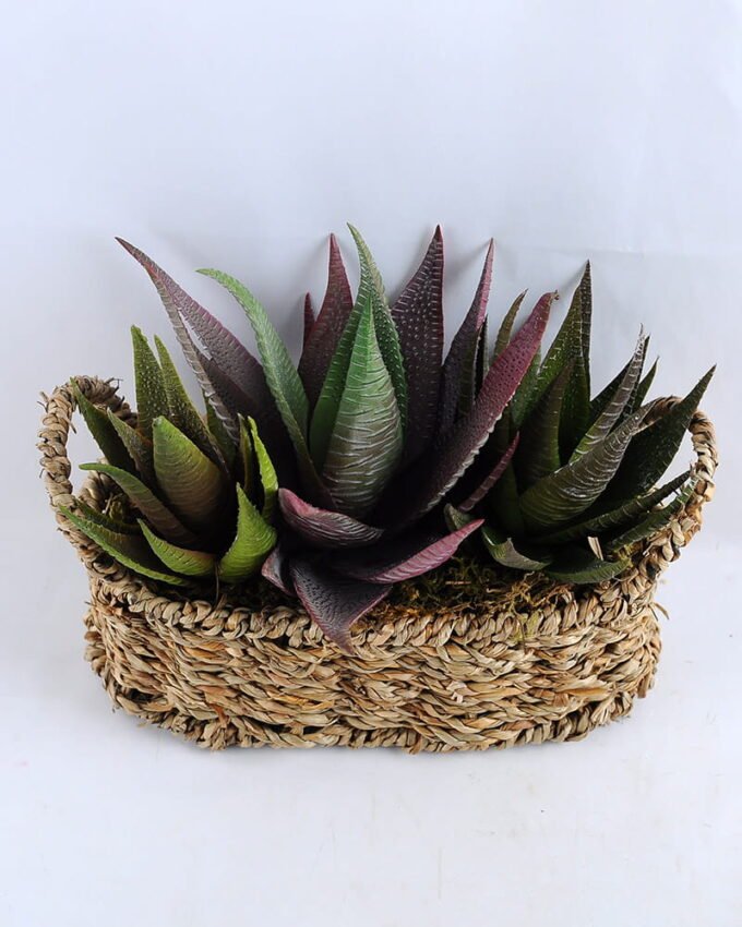 Artificial succulent 21*16*18CM Succulent in basket GS-30319003+P