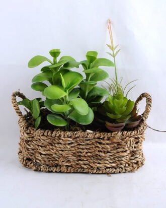 Artificial succulent 20*14.5*20CM Succulent in basket GS-30319004+P Succulent YeahFlower is one of Chinese leading OEM manufacturers and exporters , supplying the silk flowers, wholesale artificial trees Artificial succulent 20*14.5*20CM Succulent in basket GS-30319004+P