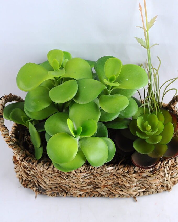 Artificial succulent 20*14.5*20CM Succulent in basket GS-30319004+P