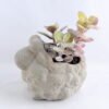 Artificial succulent 12*9*13CM Succulent in cement pot GS-30319011+P