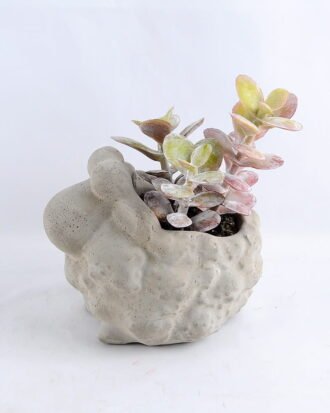 Artificial succulent 12*9*13CM Succulent in cement pot GS-30319011+P