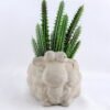 Artificial succulent 11*8.5*16CM Succulent in cement pot GS-30319012+P