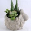 Artificial succulent 14.5*12*17CM Succulent in cement pot GS-30319014+P