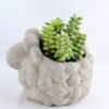 Artificial succulent 14*11.5*14CM Succulent in cement pot GS-30319015+P