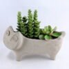 Artificial succulent 19*8.5*15CM Succulent in cement pot GS-30319017+P