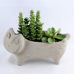 Artificial succulent 19*8.5*15CM Succulent in cement pot GS-30319017+P
