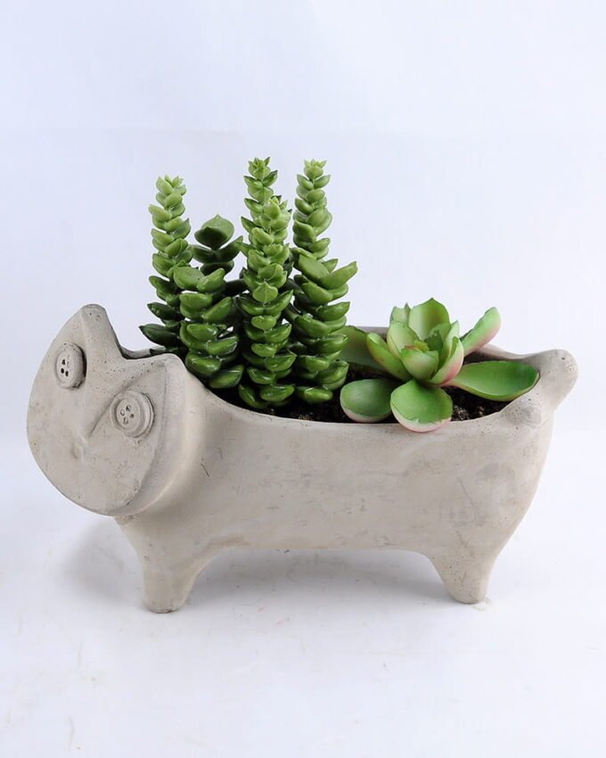 Artificial succulent 19*8.5*15CM Succulent in cement pot GS-30319017+P