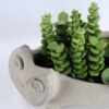 Artificial succulent 19*8.5*15CM Succulent in cement pot GS-30319017+P