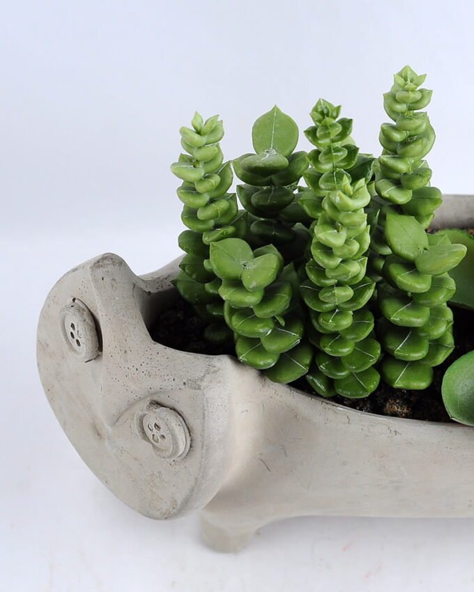 Artificial succulent 19*8.5*15CM Succulent in cement pot GS-30319017+P