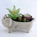 Artificial succulent 19*8*15CM Succulent in cement pot GS-30319018+P