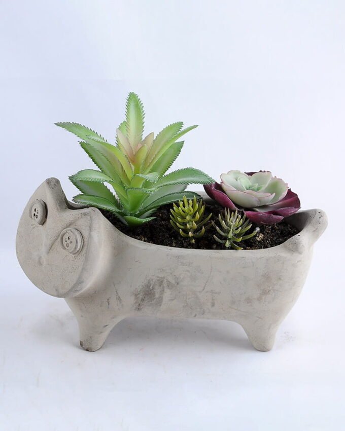 Artificial succulent 19*8*15CM Succulent in cement pot GS-30319018+P