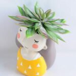 Artificial succulent 11*12.5CM Succulent in ceramic pot GS-30319032+P