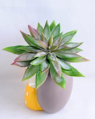 Artificial succulent 11*12.5CM Succulent in ceramic pot GS-30319032+P