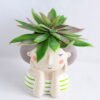 Artificial succulent 11*12CM Succulent in ceramic pot GS-30319033+P