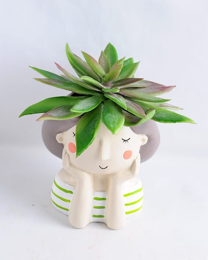 Artificial succulent 11*12CM Succulent in ceramic pot GS-30319033+P