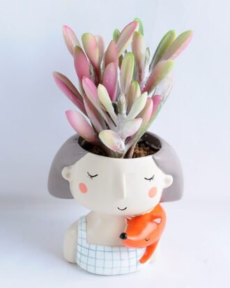 Artificial succulent 10*16.5CM Succulent in ceramic pot GS-30319035+P Potted Flowers&Plants YeahFlower is one of Chinese leading OEM manufacturers and exporters , supplying the silk flowers, wholesale artificial trees Artificial succulent 10*16.5CM Succulent in ceramic pot GS-30319035+P
