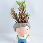 Artificial succulent 8*18CM Succulent in ceramic pot GS-30319036+P