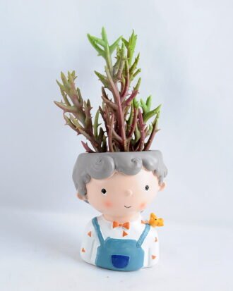 Artificial succulent 8*18CM Succulent in ceramic pot GS-30319036+P Potted Flowers&Plants YeahFlower is one of Chinese leading OEM manufacturers and exporters , supplying the silk flowers, wholesale artificial trees Artificial succulent 8*18CM Succulent in ceramic pot GS-30319036+P