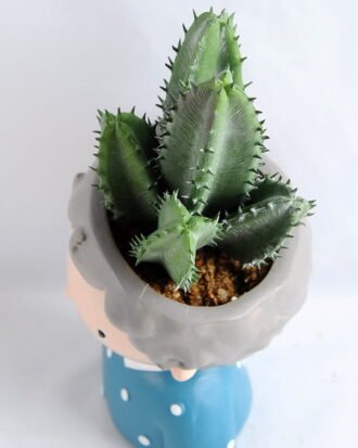 Artificial succulent 8*16.5CM Succulent in ceramic pot GS-30319037+P Potted Flowers&Plants YeahFlower is one of Chinese leading OEM manufacturers and exporters , supplying the silk flowers, wholesale artificial trees Artificial succulent 8*16.5CM Succulent in ceramic pot GS-30319037+P
