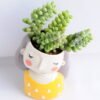 Artificial succulent 9*17CM Succulent in ceramic pot GS-30319039+P