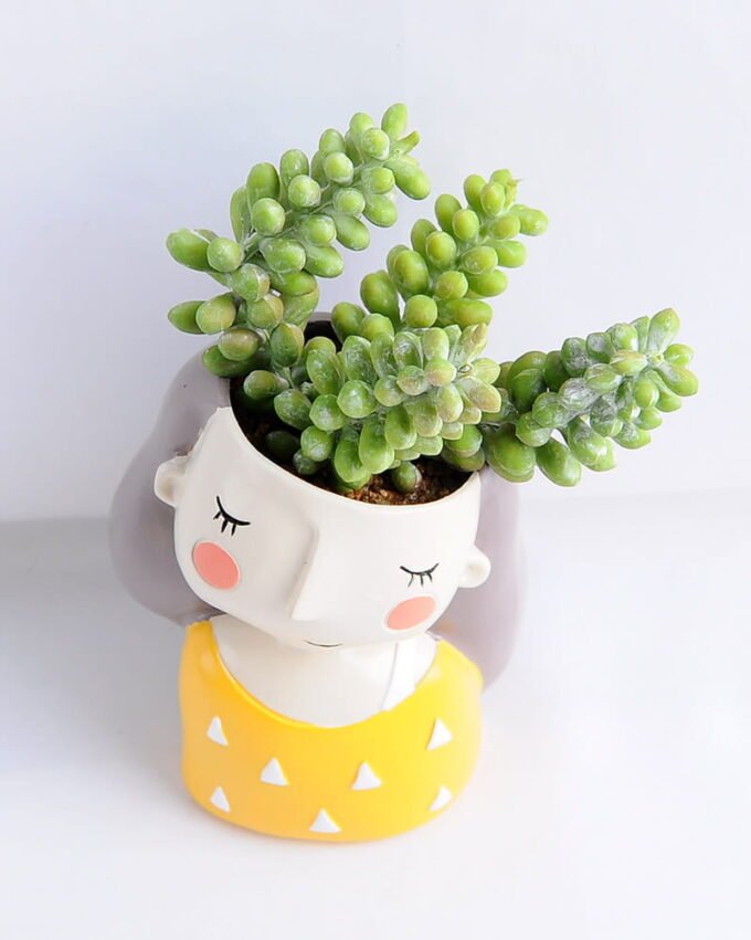 Artificial succulent 9*17CM Succulent in ceramic pot GS-30319039+P