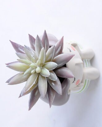 Artificial succulent 9*11.5CM Succulent in ceramic pot GS-30319042+P Potted Flowers&Plants YeahFlower is one of Chinese leading OEM manufacturers and exporters , supplying the silk flowers, wholesale artificial trees Artificial succulent 9*11.5CM Succulent in ceramic pot GS-30319042+P