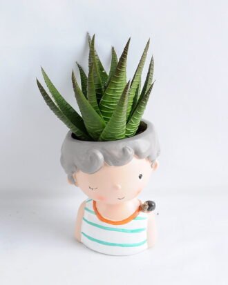 Artificial succulent 7*15CM Succulent in ceramic pot GS-30319043+P