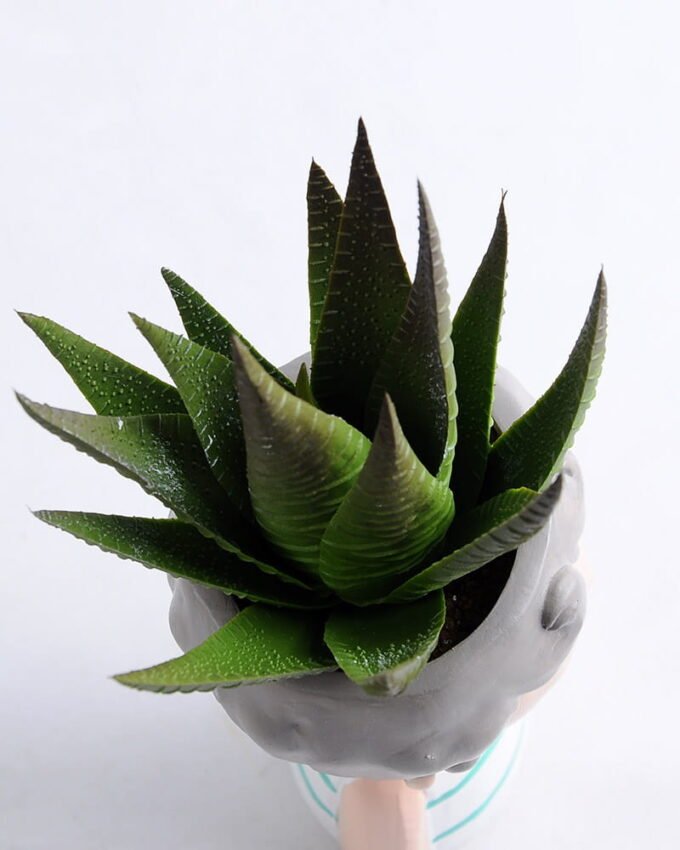 Artificial succulent 7*15CM Succulent in ceramic pot GS-30319043+P