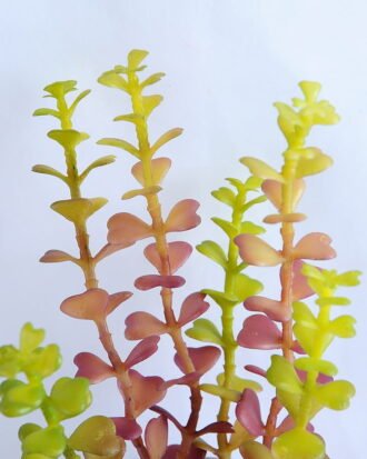 Artificial succulent 9*22CM Succulent in ceramic pot GS-30319045+P