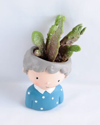 Artificial succulent 8*17CM Succulent in ceramic pot GS-30319046+P