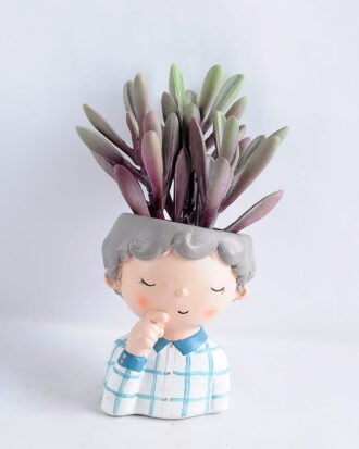 Artificial succulent 9*17CM Succulent in ceramic pot GS-30319047+P Potted Flowers&Plants YeahFlower is one of Chinese leading OEM manufacturers and exporters , supplying the silk flowers, wholesale artificial trees Artificial succulent 9*17CM Succulent in ceramic pot GS-30319047+P