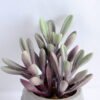 Artificial succulent 9*17CM Succulent in ceramic pot GS-30319047+P