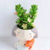 Artificial succulent 9*16CM Succulent in ceramic pot GS-30319048+P