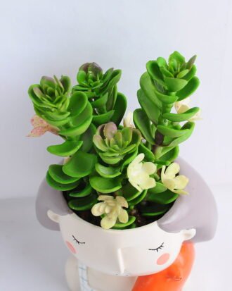 Artificial succulent 9*16CM Succulent in ceramic pot GS-30319048+P Potted Flowers&Plants YeahFlower is one of Chinese leading OEM manufacturers and exporters , supplying the silk flowers, wholesale artificial trees Artificial succulent 9*16CM Succulent in ceramic pot GS-30319048+P