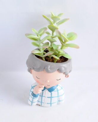 Artificial succulent 8*14.5CM Succulent in ceramic pot GS-30319051+P