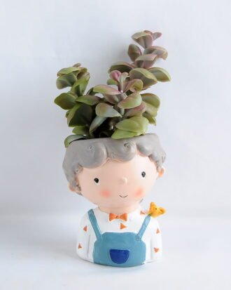 Artificial succulent 8*17CM Succulent in ceramic pot GS-30319053+P Potted Flowers&Plants YeahFlower is one of Chinese leading OEM manufacturers and exporters , supplying the silk flowers, wholesale artificial trees Artificial succulent 8*17CM Succulent in ceramic pot GS-30319053+P