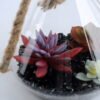 Artificial succulent 16*36CM Succulent in glass pot GS-52719038