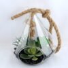 Artificial succulent 16*40CM Succulent in glass pot GS-52719039