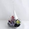 Artificial succulent 10*19CM Succulent in glass pot GS-52719041