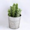 Artificial succulent 9*14CM Succulent in metal pot GS-30319090