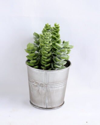 Artificial succulent 9*14CM Succulent in metal pot GS-30319090 Potted Flowers&Plants YeahFlower is one of Chinese leading OEM manufacturers and exporters , supplying the silk flowers, wholesale artificial trees Artificial succulent 9*14CM Succulent in metal pot GS-30319090