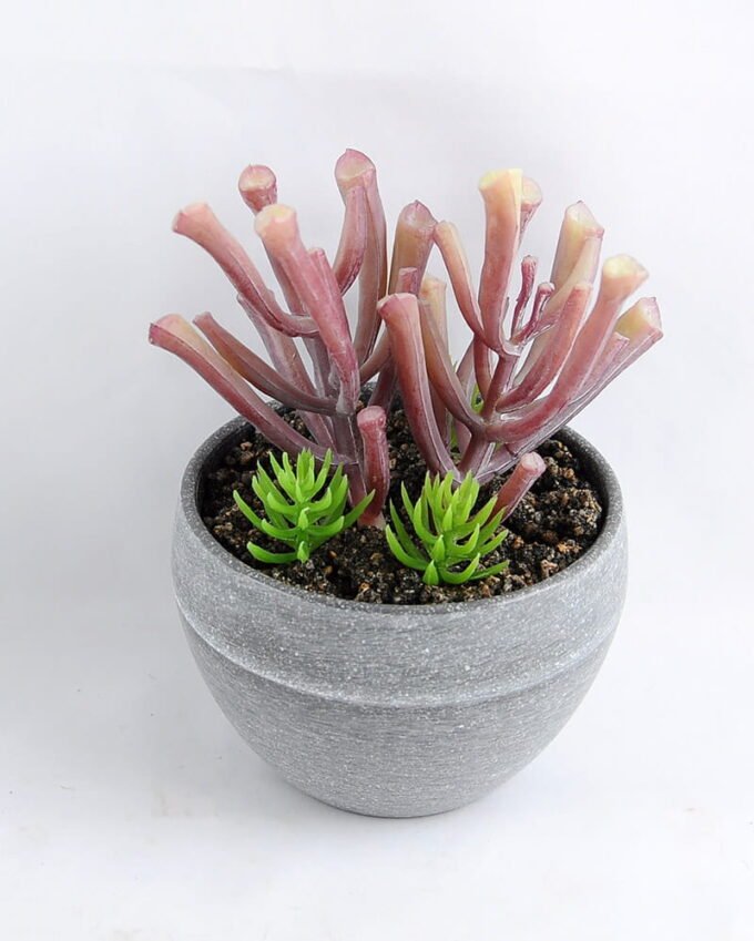 Artificial succulent 9.5*14CM Succulent in minami pot GS-30319072