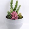 Artificial succulent 11*18.5CM Succulent in minami pot GS-30319075